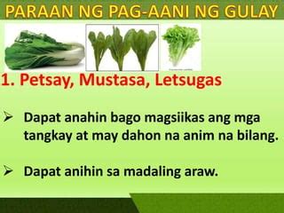 oras na para anihin ang bunga ng masugid na panliligaw|Pang.